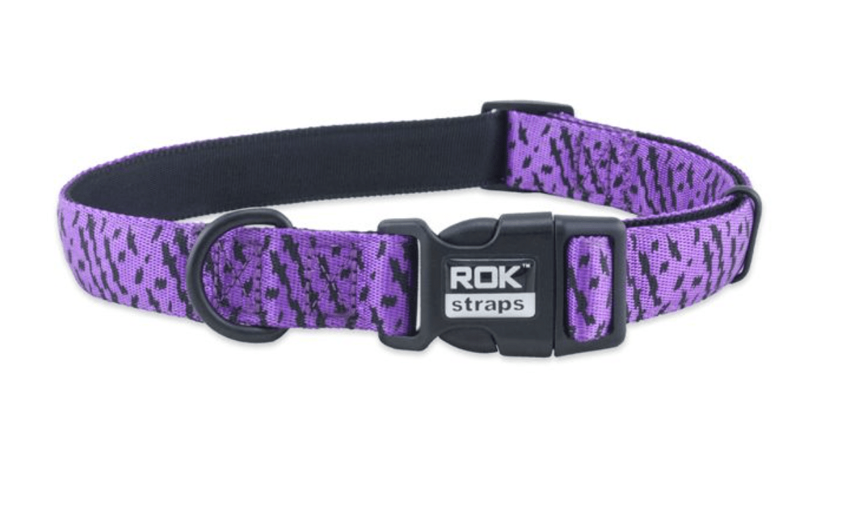 Padded Collar (ROK Straps) - SnowPaw Store - ROK Straps - Dog Collars, Leads, Belts